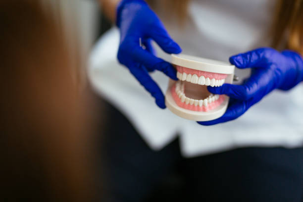 Reliable Westminster, TX Holistic Dental Care Services Solutions